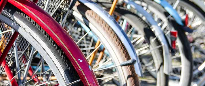 bikes in a row