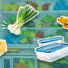 cheese, food containers, spring onion and bananas in front of a fridge