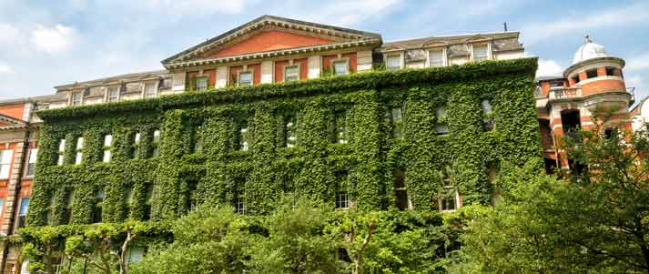 king's college london