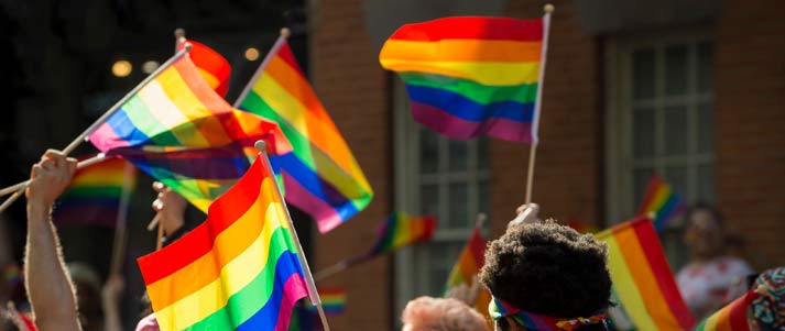 lgbt rainbow flags