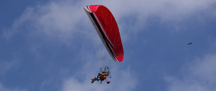 people parachuting