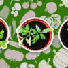 plant pots and vegetable pattern