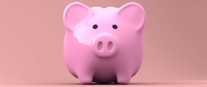 pink piggy bank